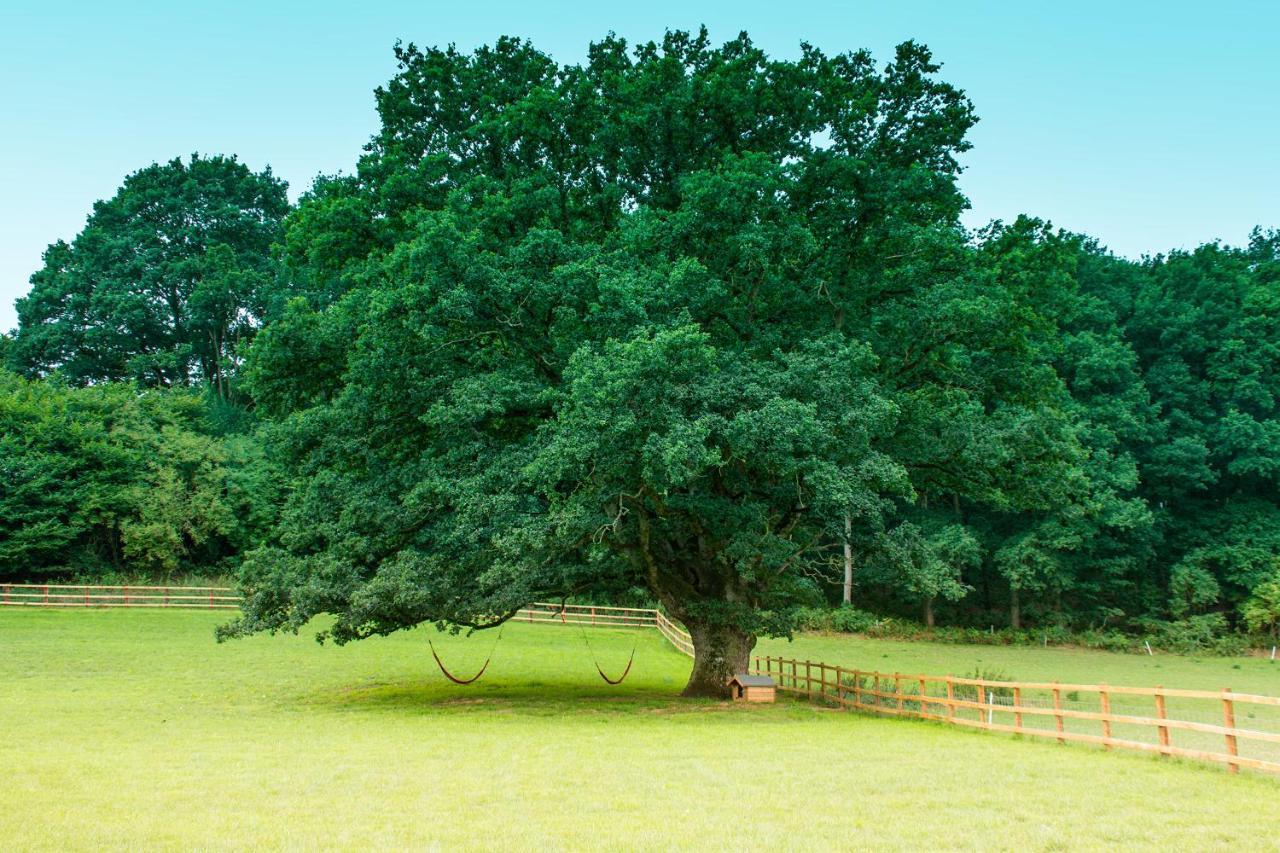 Hidden Wood Glamping And The Hideaway Cabin Villa Warminster Exterior photo