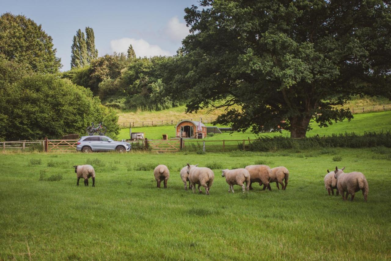Hidden Wood Glamping And The Hideaway Cabin Warminster Exterior photo